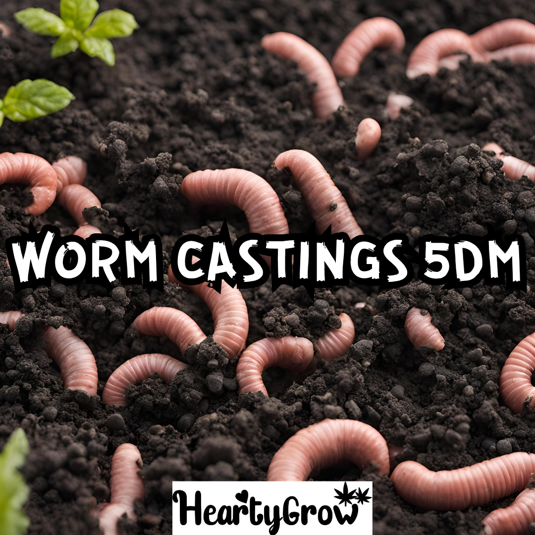 Worm Castings - 20 DM