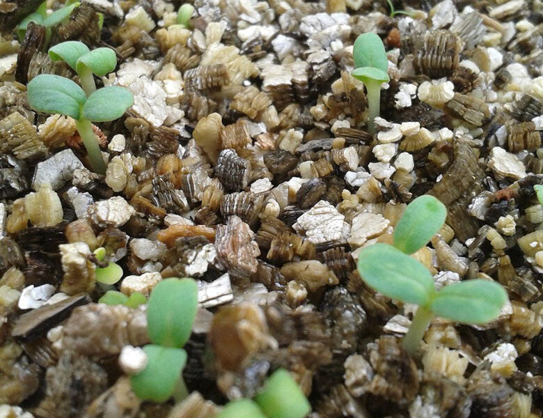 Vermiculite 5lt