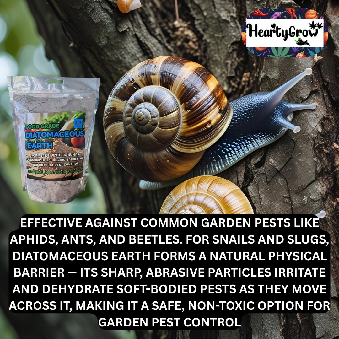Diatomaceous Earth (2L) For Pets and Gardening