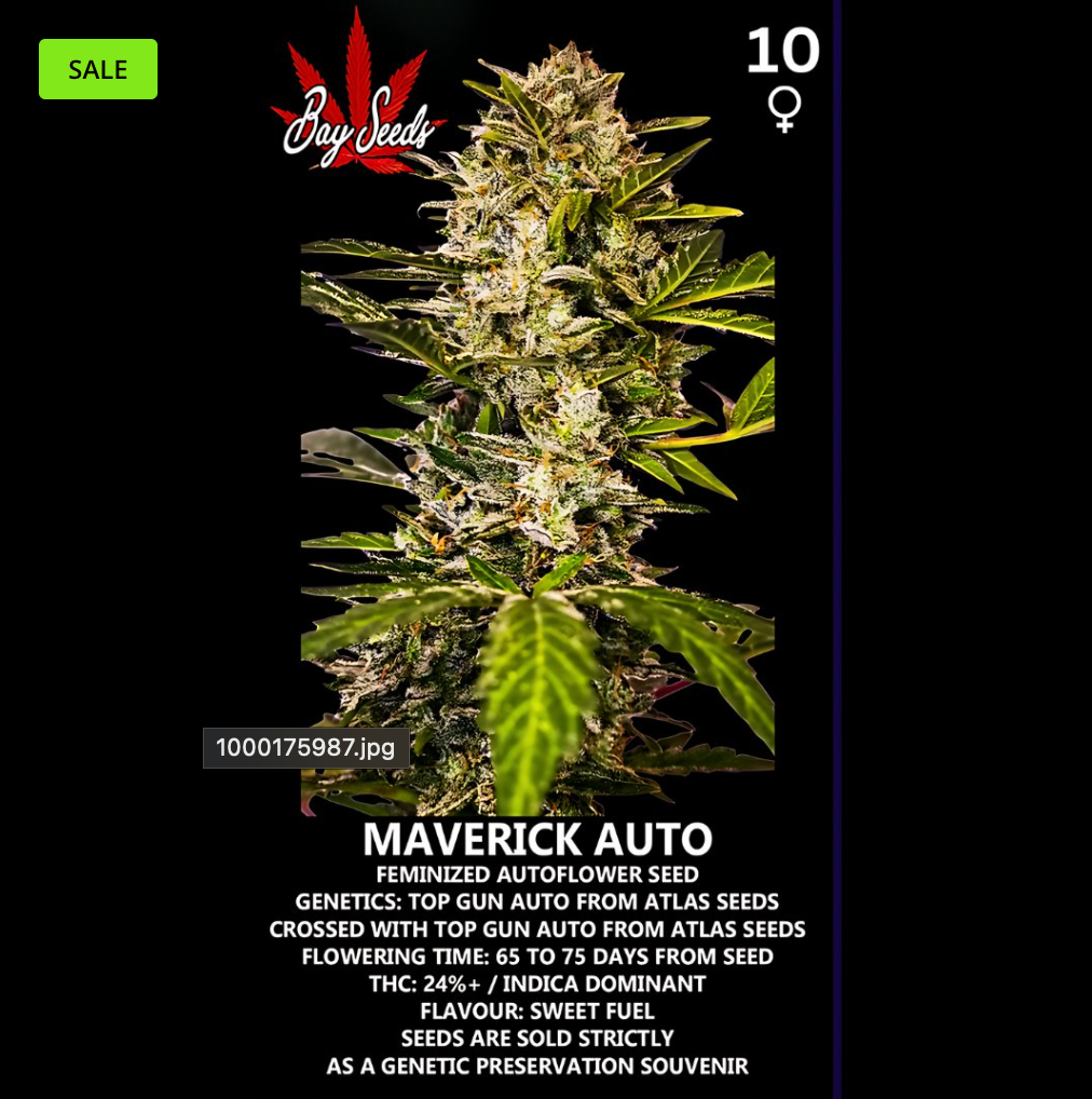 Maveric - Autofem