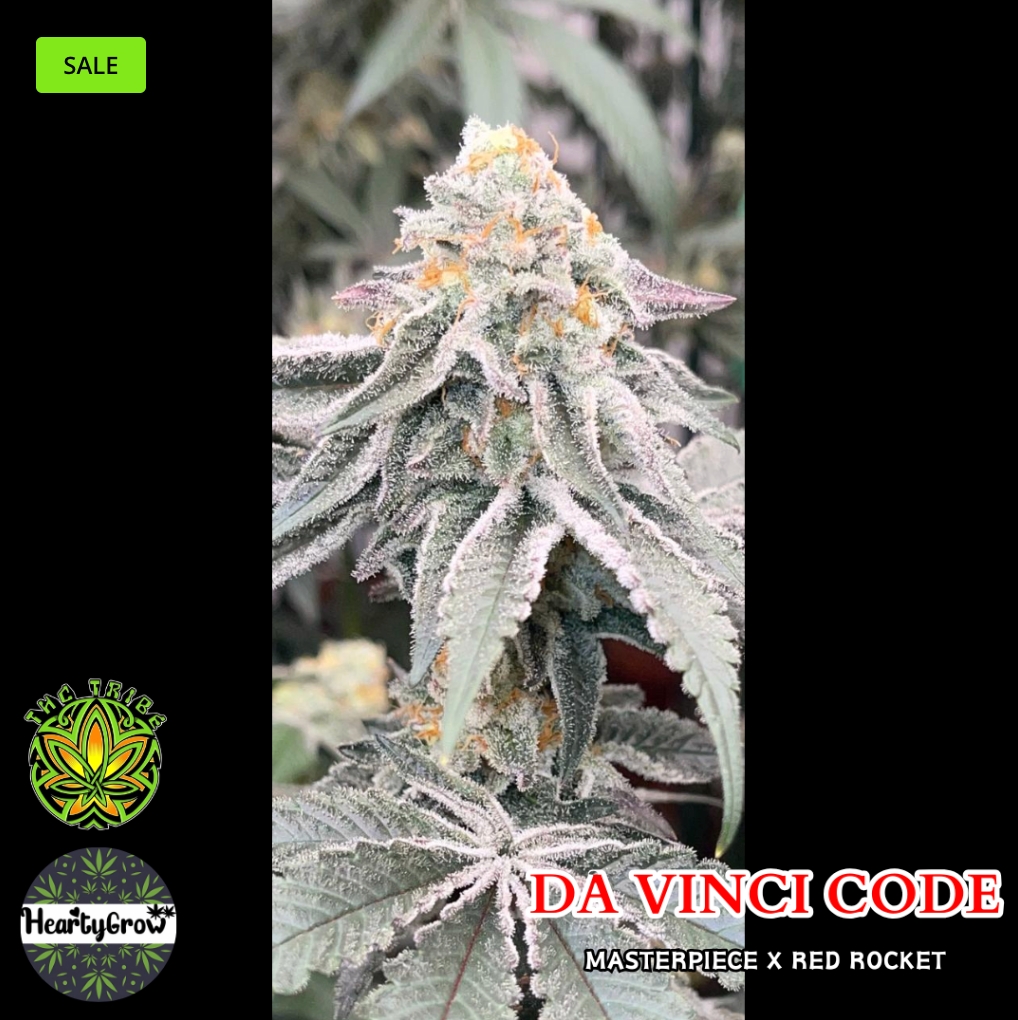 Da Vinci Code (THC Tribe) *New*