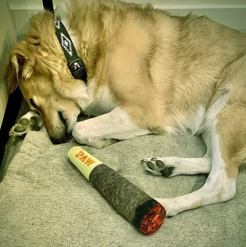 Doggo Joint