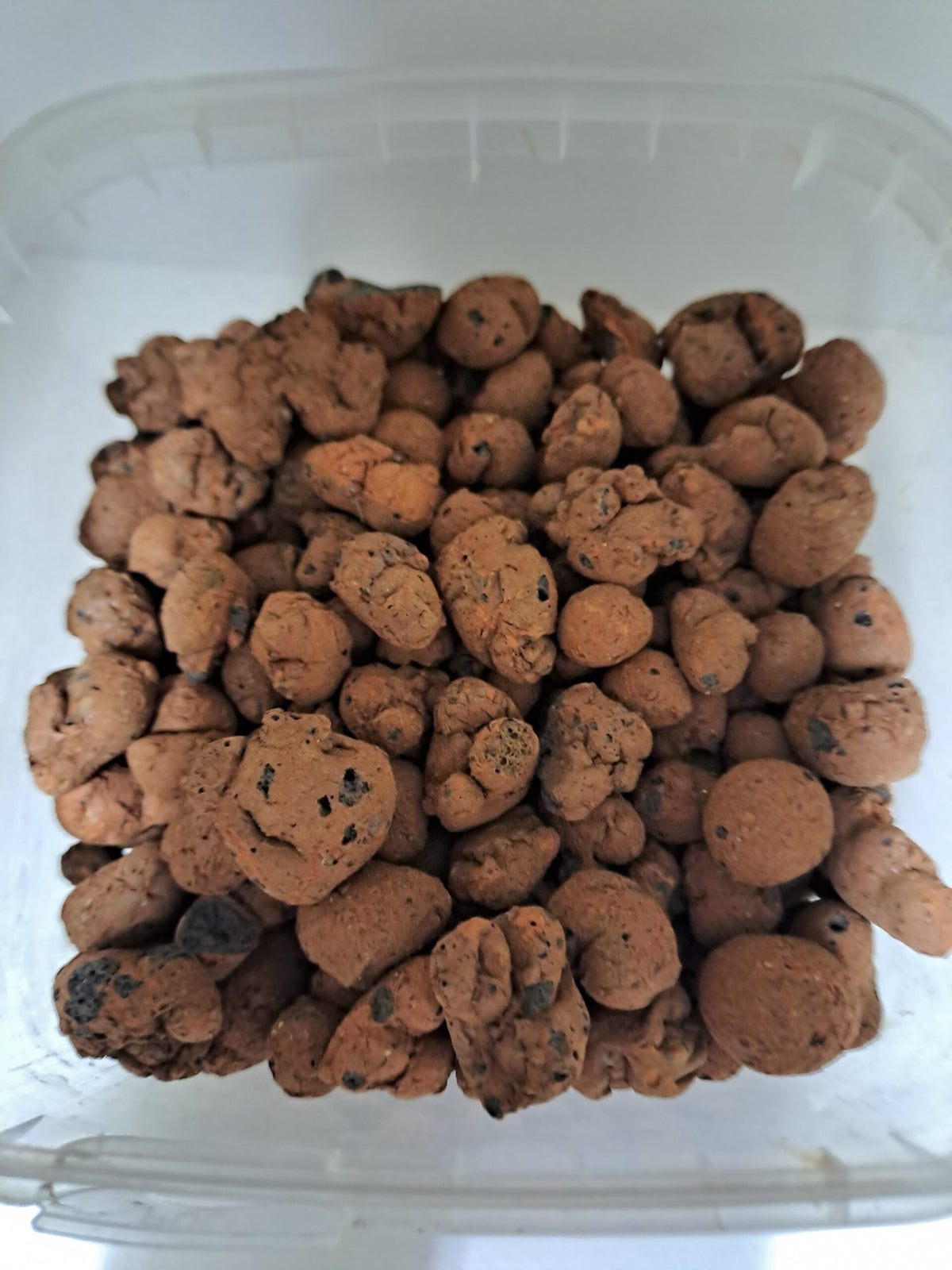 Expanded Clay 8-16 mm 300g tub