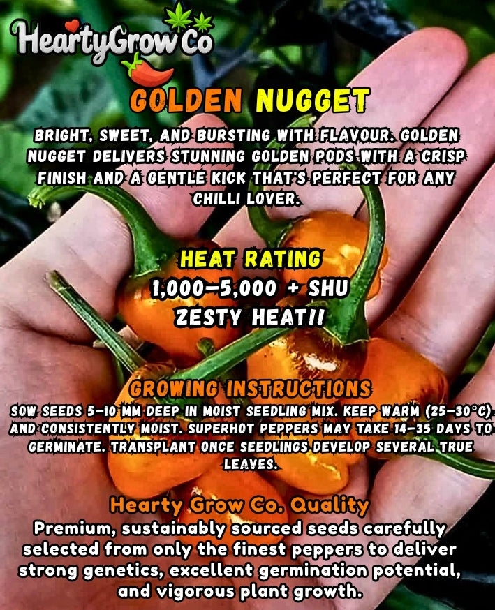 Golden Nugget