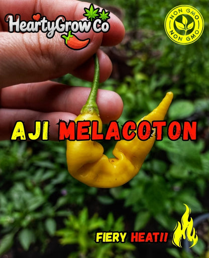 Aji Melacoton