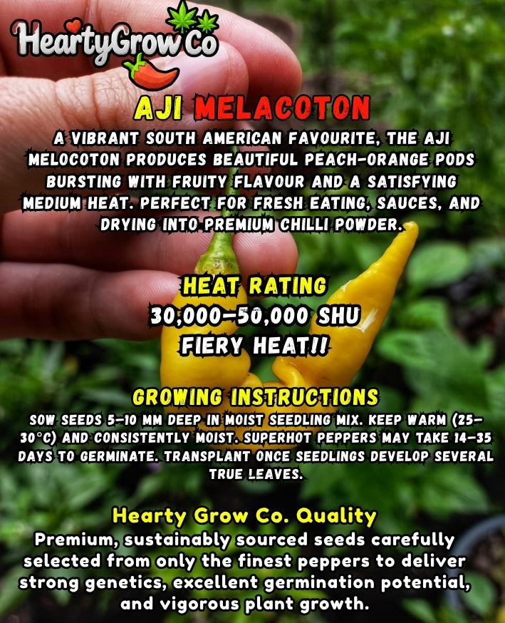 Premium Chilli Seed Combo|5 Varieties|60 Seeds