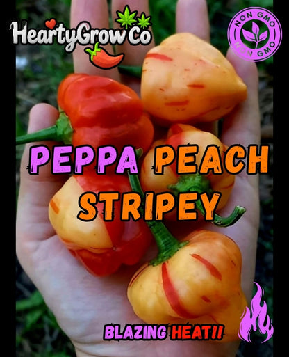 Peppa Peach Stripey