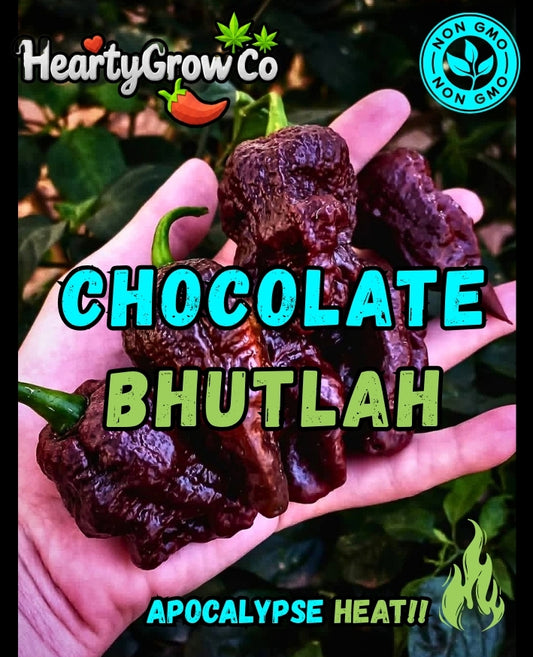 Chocolate Bhutlah