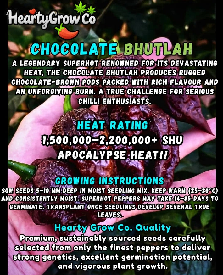 Chocolate Bhutlah