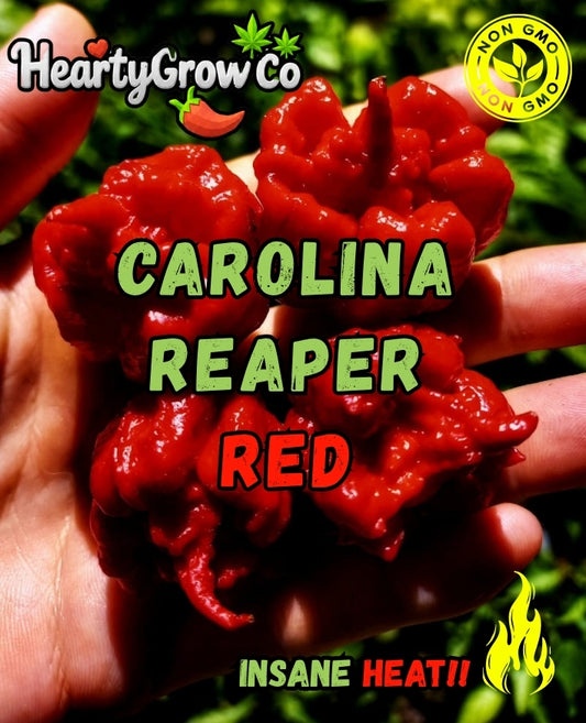 Carolina Reaper Red