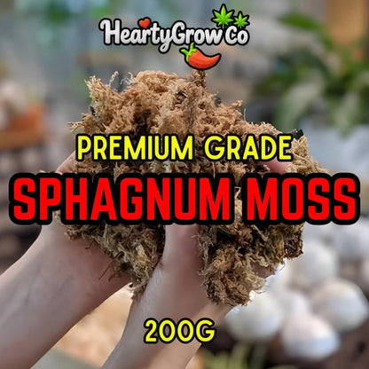 Premium Sphagnum Moss
