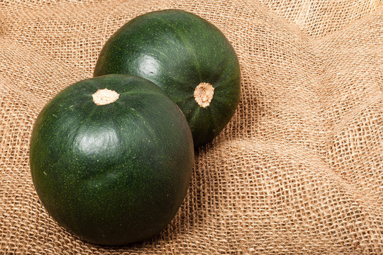 Gem Squash (20 Seeds)
