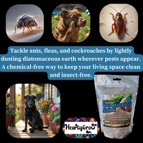 Diatomaceous Earth|1LT| For Pets and Gardening