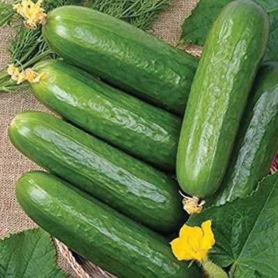 Cucumber Ashley (15 Seeds)