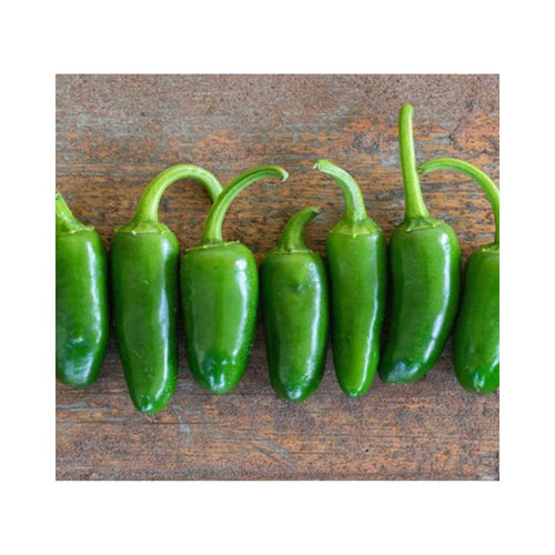 Jalapeño (25 Seeds)