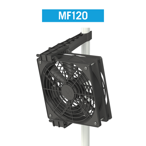 Secret Jardin ~ Monkey Fan ~ MF120