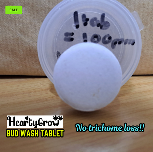 Bud Wash Tablet (Hypochlorous Acid)