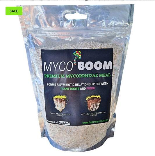 Myco-Boom [Mycorrhizae]