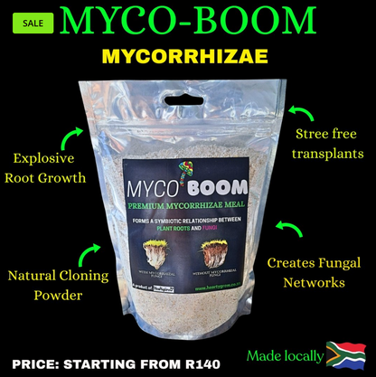 Myco-Boom [Mycorrhizae]