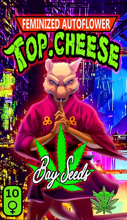 Top Cheese Autofem
