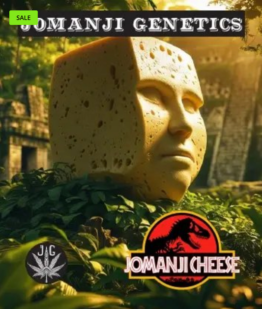Jomanji Cheese *New*