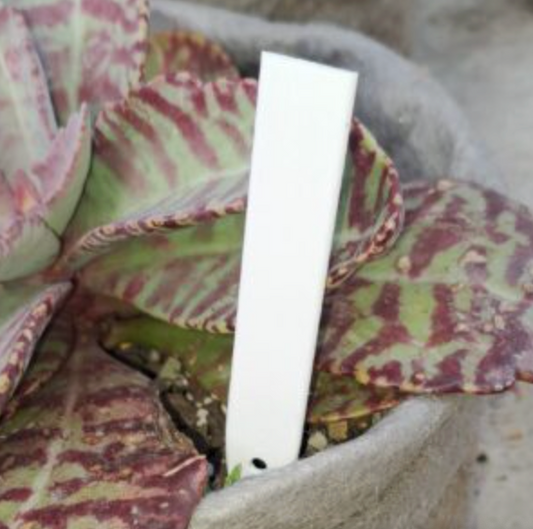 Plant Markers 5 pack