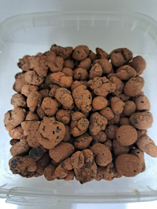 Expanded Clay 8-16 mm 300g tub