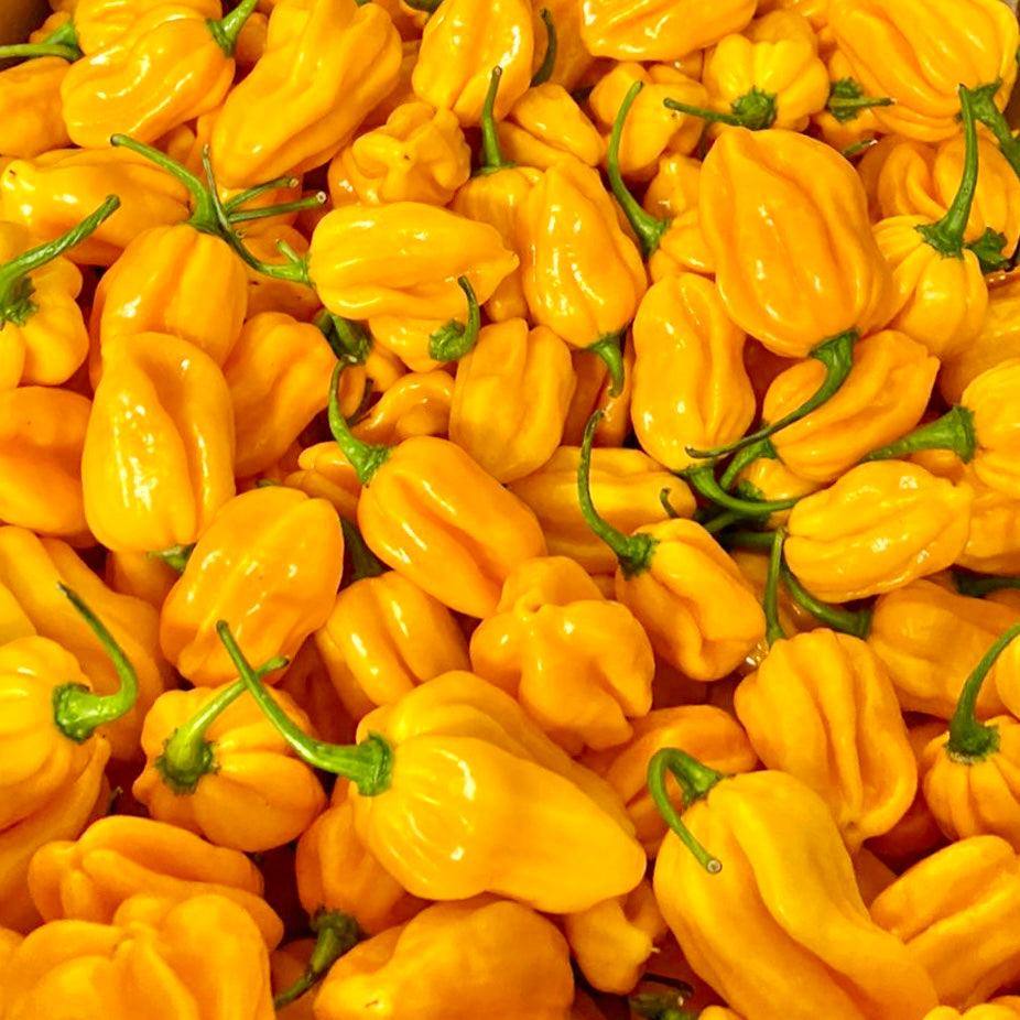 Habanero Pepper (25 Seeds)