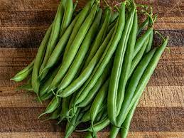 South African Bush Beans