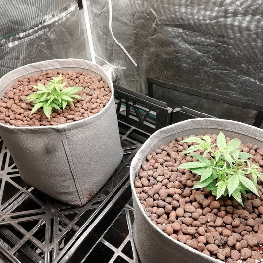 10lt Fabric Pot | Heavy Duty - 5 pack