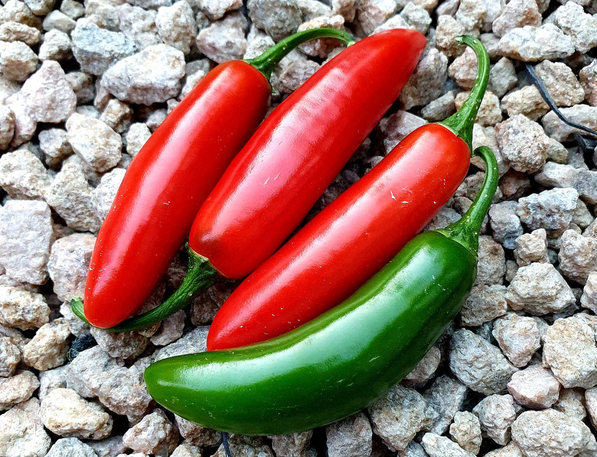 Serrano Pepper (25 Seeds)